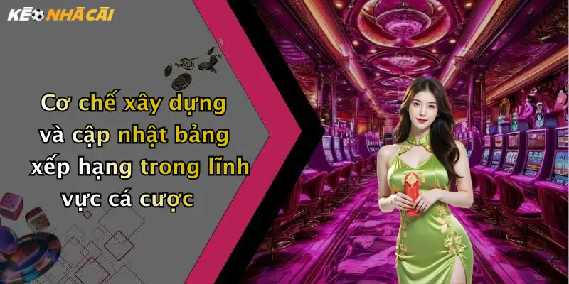 Cơ chế xây dựng và cập nhật bảng xếp hạng trong lĩnh vực cá cược
