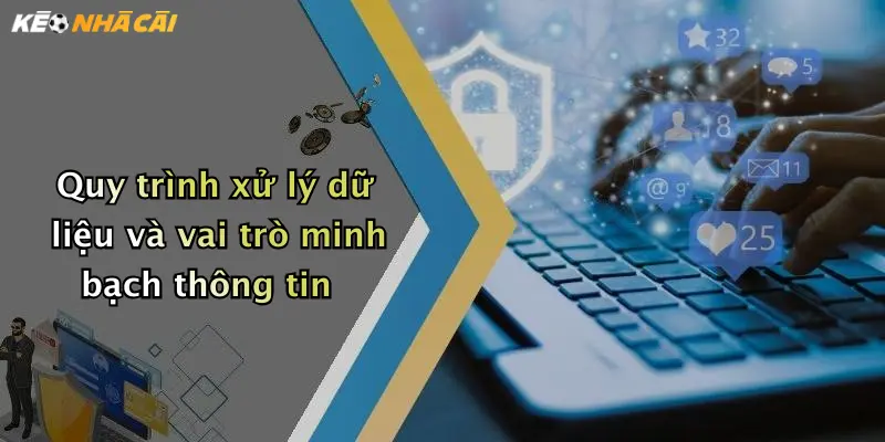 Quy trình xử lý dữ liệu và vai trò minh bạch thông tin