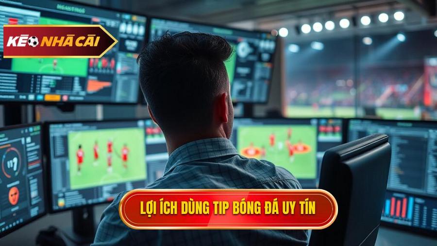 Tại sao bạn nên tin dùng Tip bóng đá miễn phí từ nguồn uy tín?